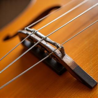 全体調整で輝かしい音色を取り戻した十七弦琴