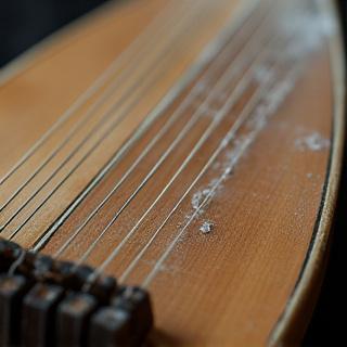 湿気で音がこもるようになった十七弦琴