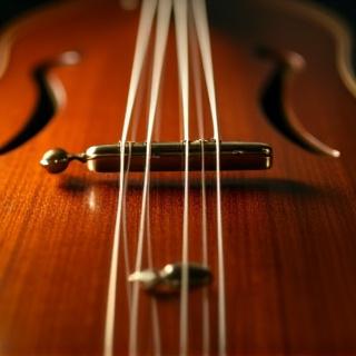 修復され美しい輝きを取り戻した琴