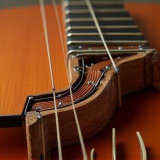 修復され完璧な状態のエレキ三味線